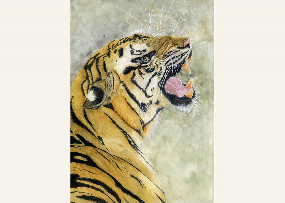 Roaring Tiger