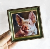 Pig portrait