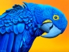 Blue Parrot