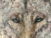 Wolf oil painting 