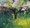 Orchard Series - Spring Blossom