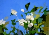 White Roses of York, original abstract painting