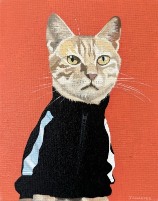 Sporty Cat
