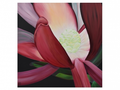 Leucadendron No.2