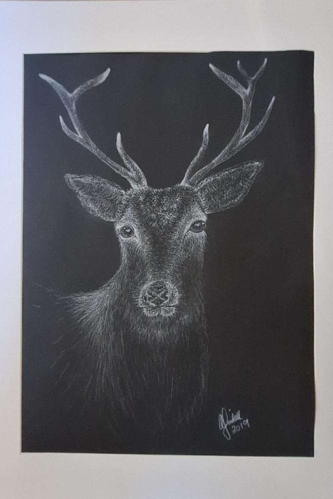 Stag Head In The Dark 