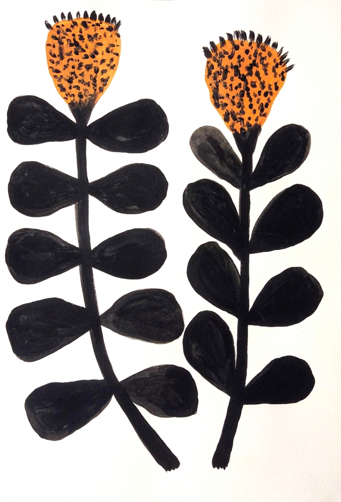 Botanical Drawing 