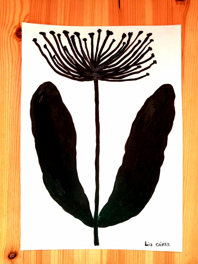 Botanical Drawing 