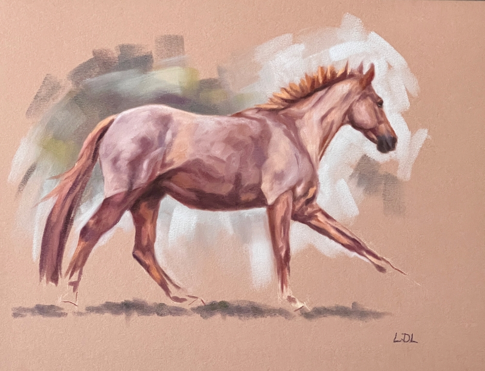 Clipped for Winter - Chestnut Horse Study 2