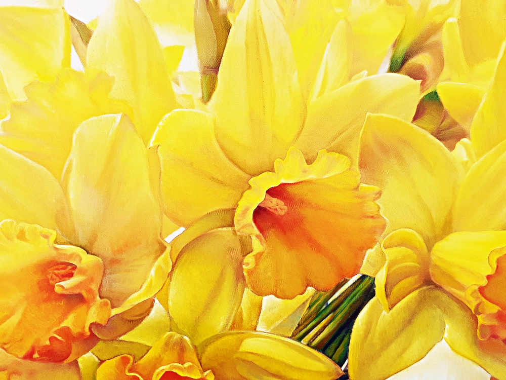 MESSENGERS OF SPRING (DAFFODILS)