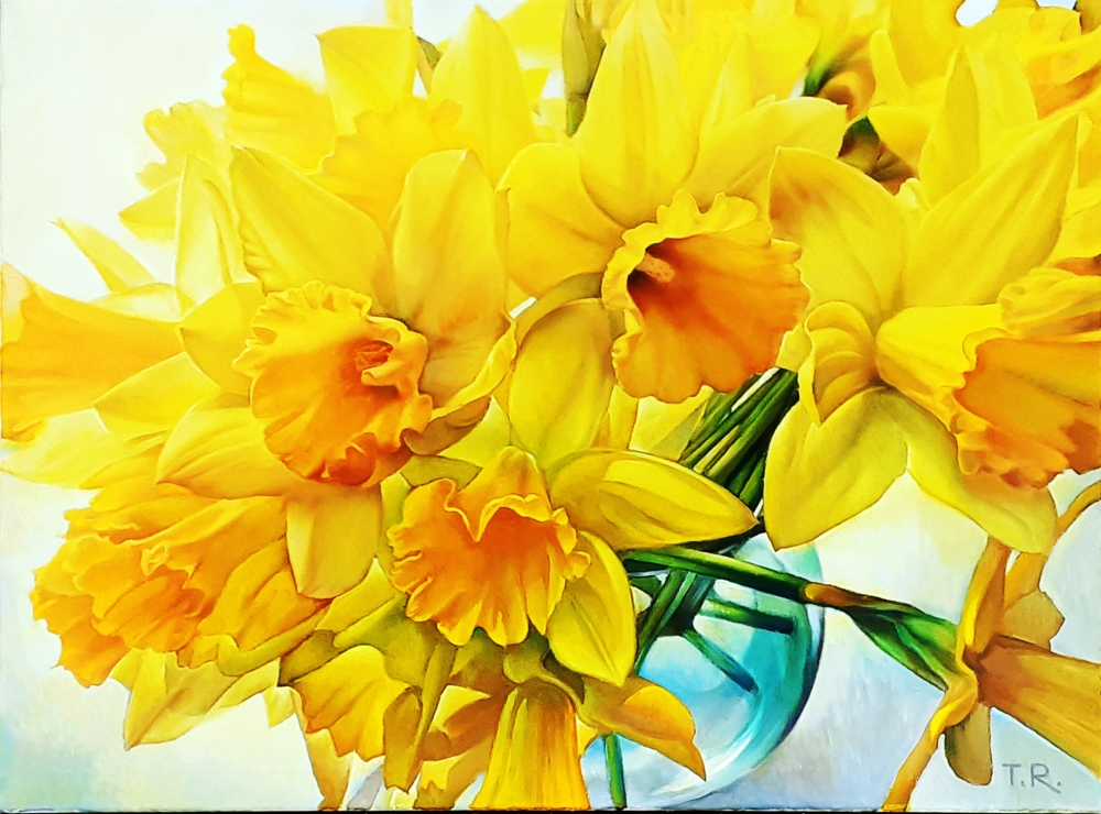 MESSENGERS OF SPRING (DAFFODILS)