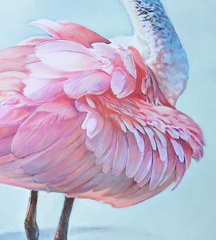 2 ROSEATE SPOONBILLS / \"LA COQUETTE\"