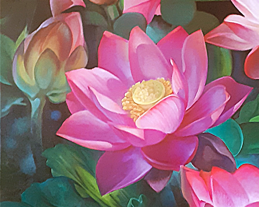LOTUSES AND DRAGONFLY