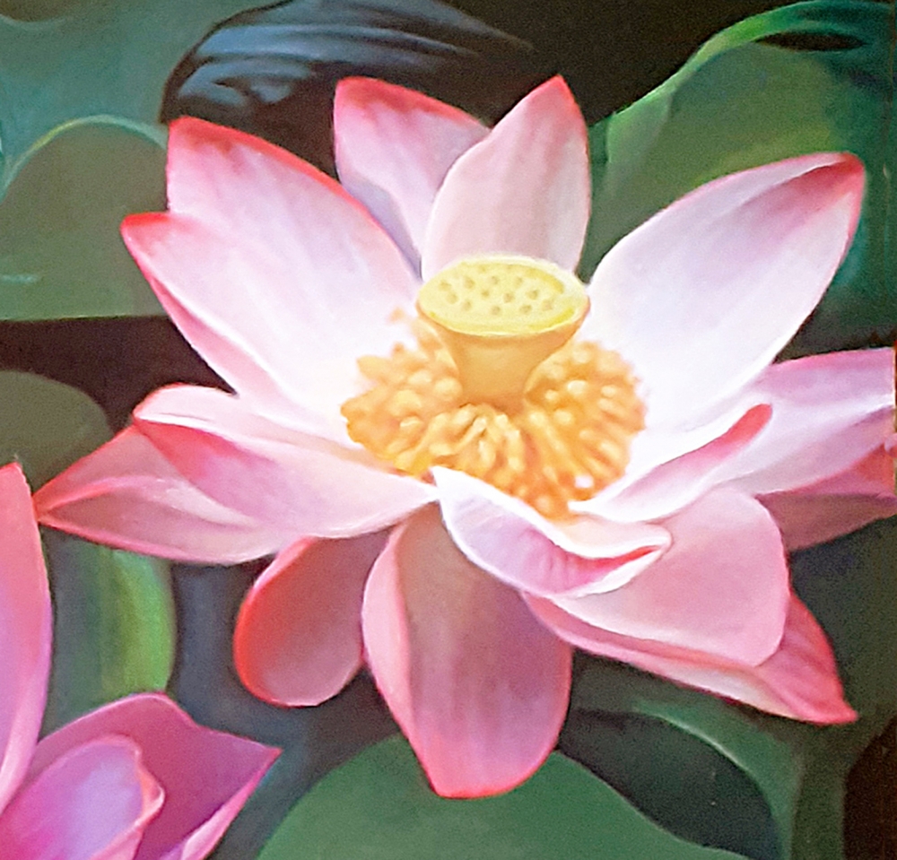 LOTUSES AND DRAGONFLY