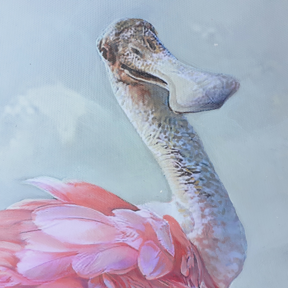 2 ROSEATE SPOONBILLS / \"LA COQUETTE\"