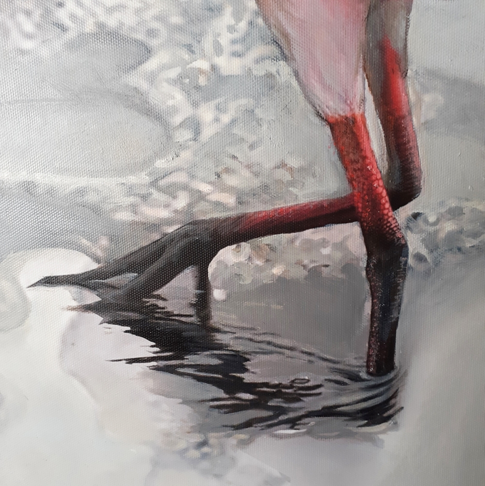 2 ROSEATE SPOONBILLS / \"LA COQUETTE\"