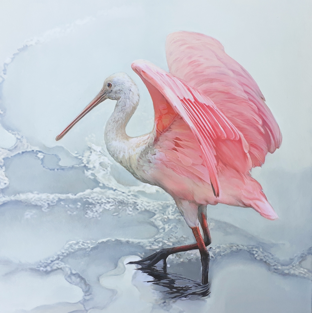 2 ROSEATE SPOONBILLS / \"LA COQUETTE\"