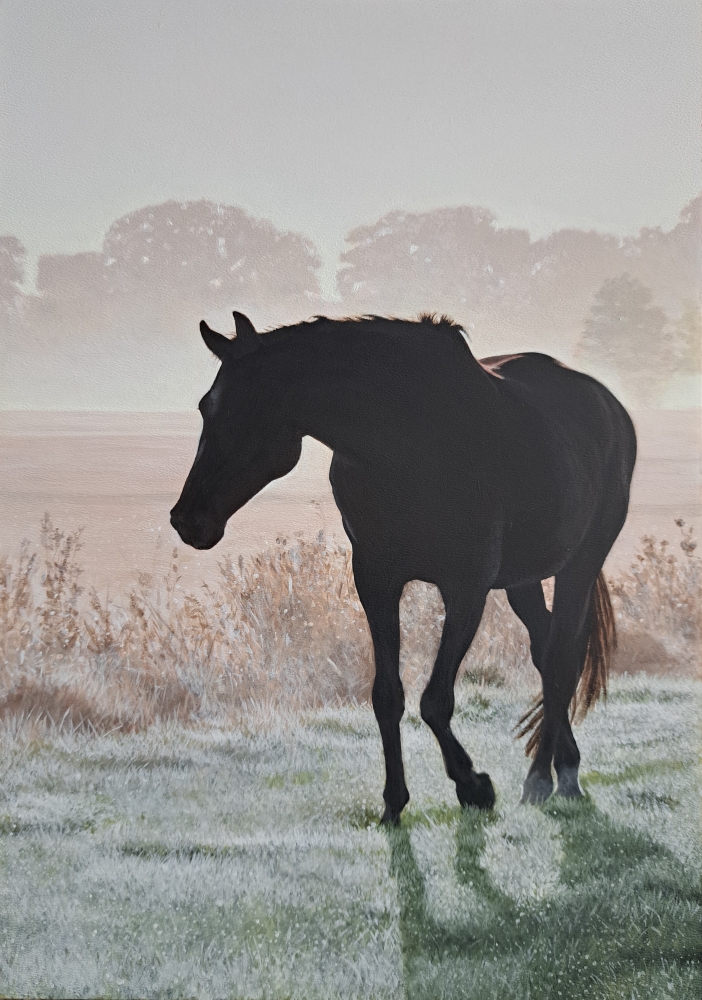 Frosted Dawn