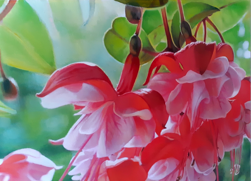 FUCHSIA FLOWERS