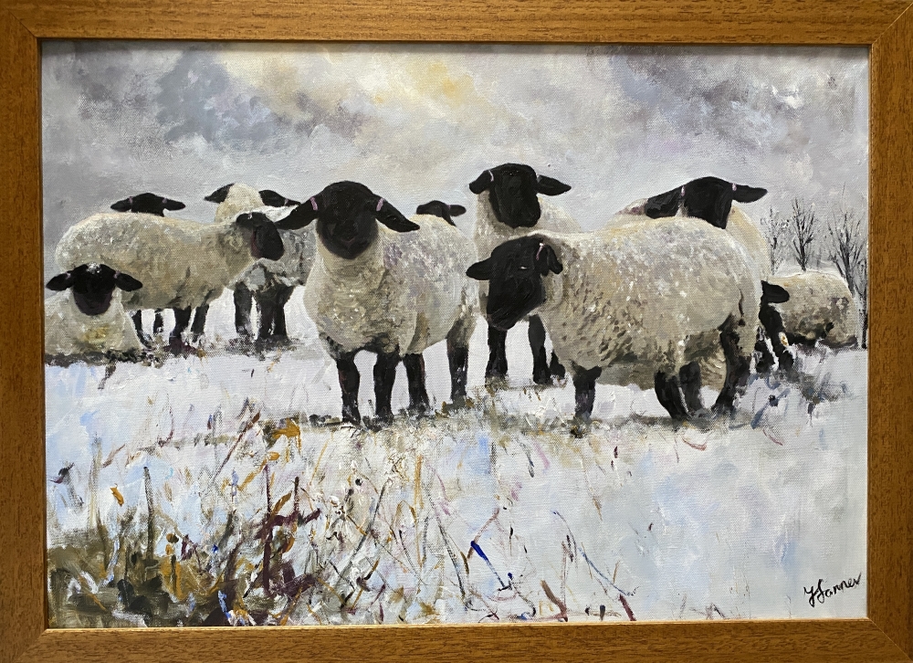 Black Faced Suffolk sheep in Winter framed