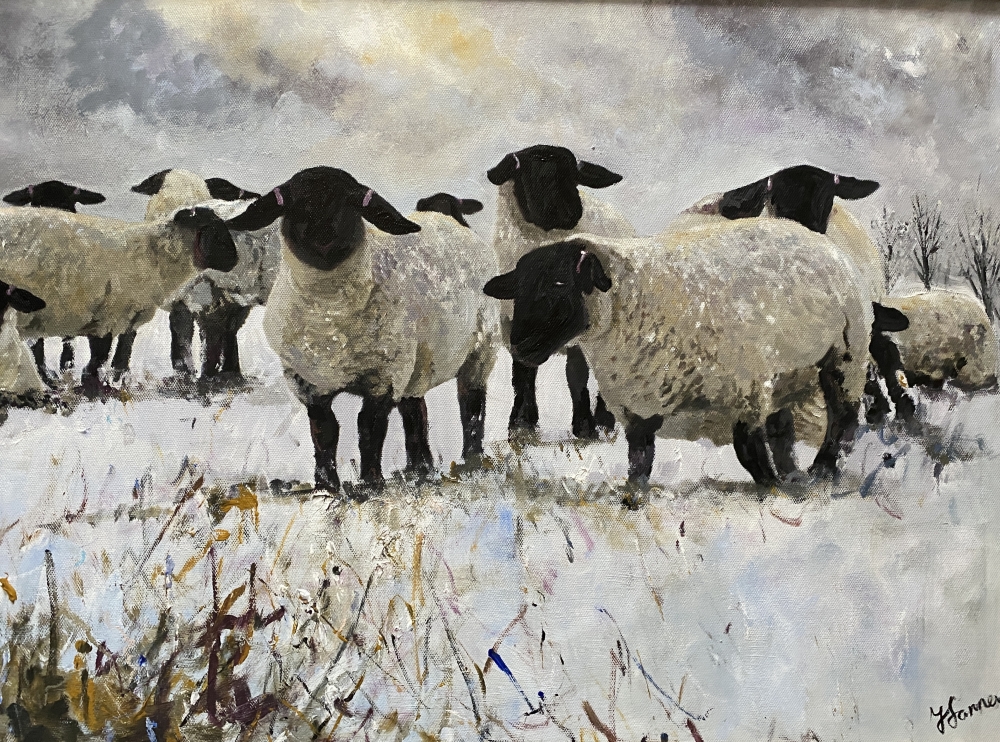 Black Faced Suffolk sheep in Winter framed