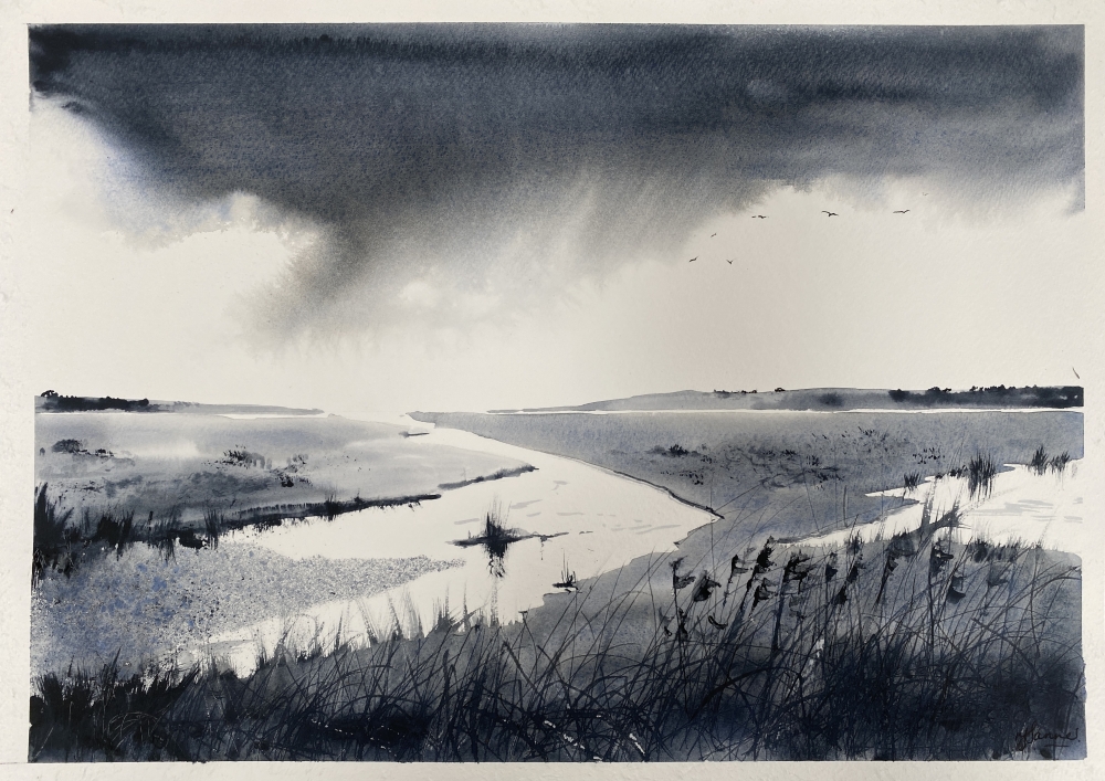 Rainclouds over marshes