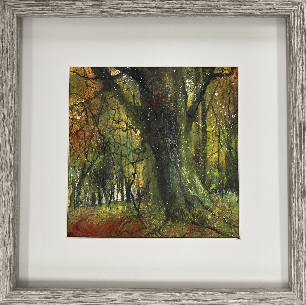 Autumn trees framed