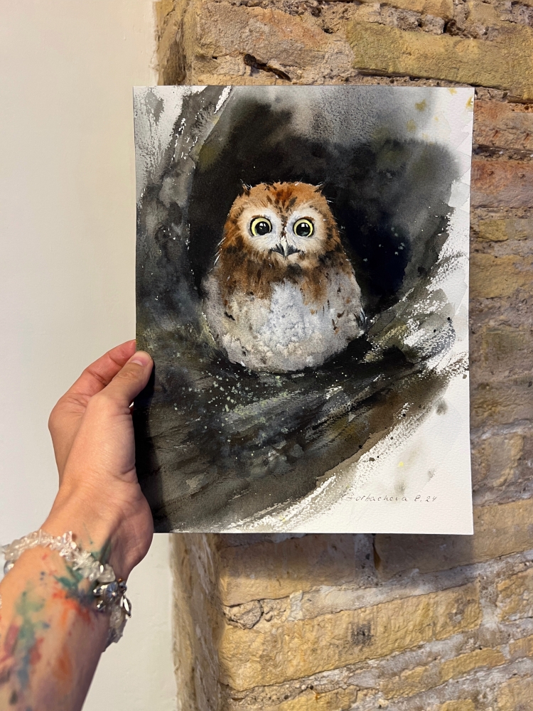 Owl in a hollow