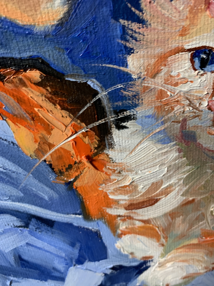 Girl in blue dress with orange cat