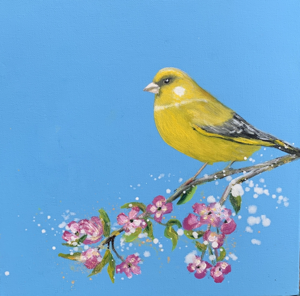 Songbird: The Greenfinch