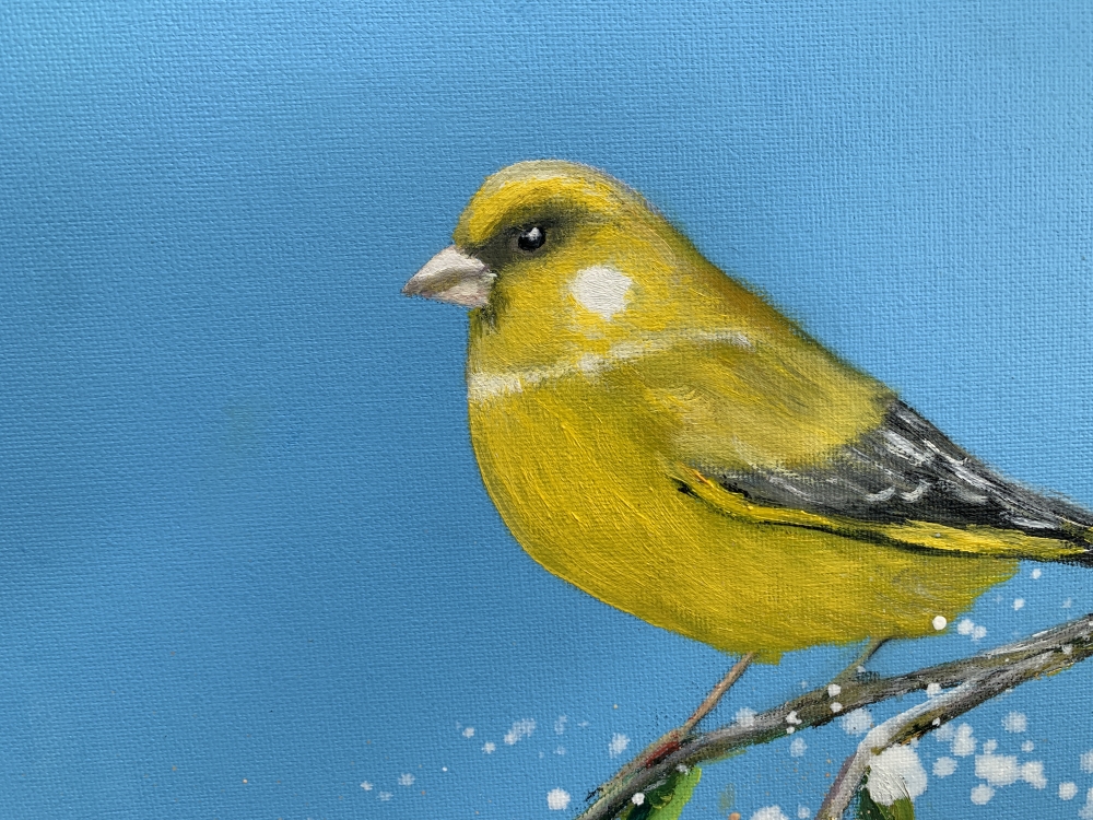 Songbird: The Greenfinch