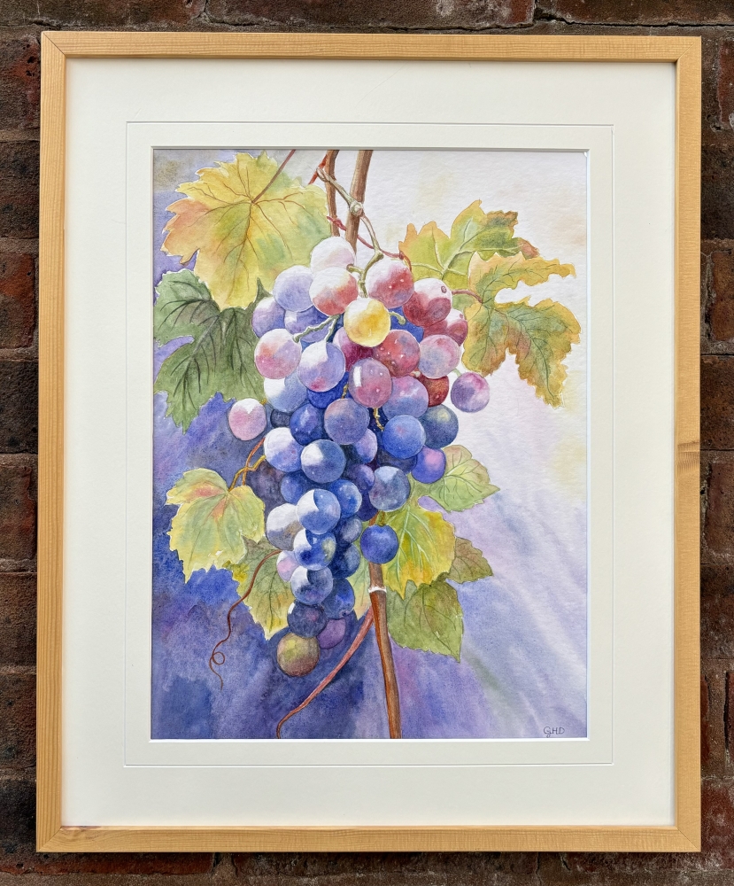 SUNLIT GRAPES