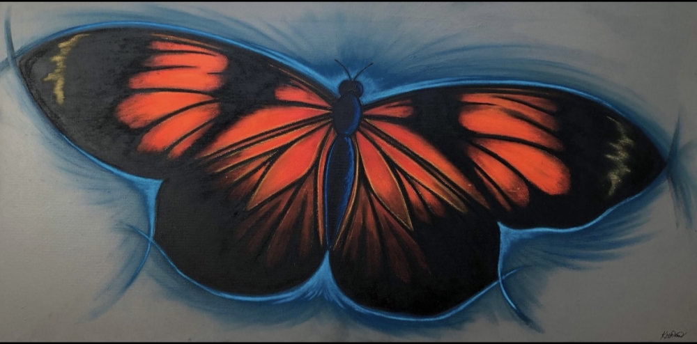 Orange butterfly 