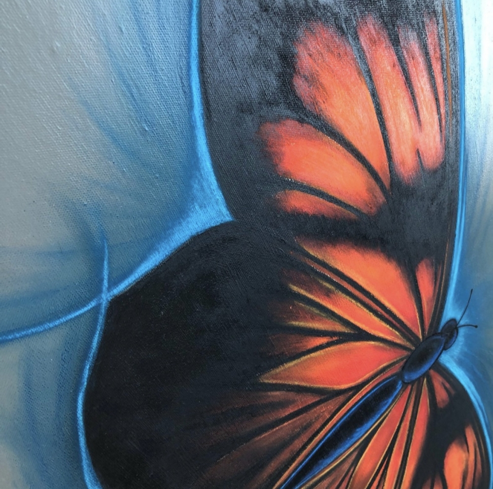 Orange butterfly 