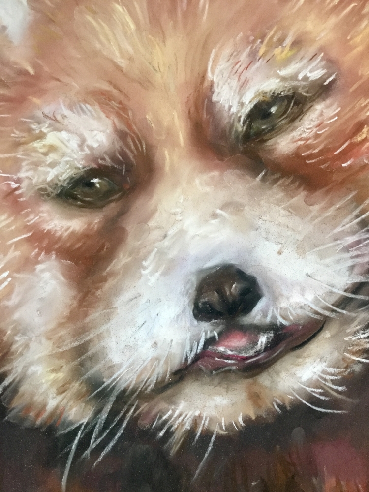 Red panda painting