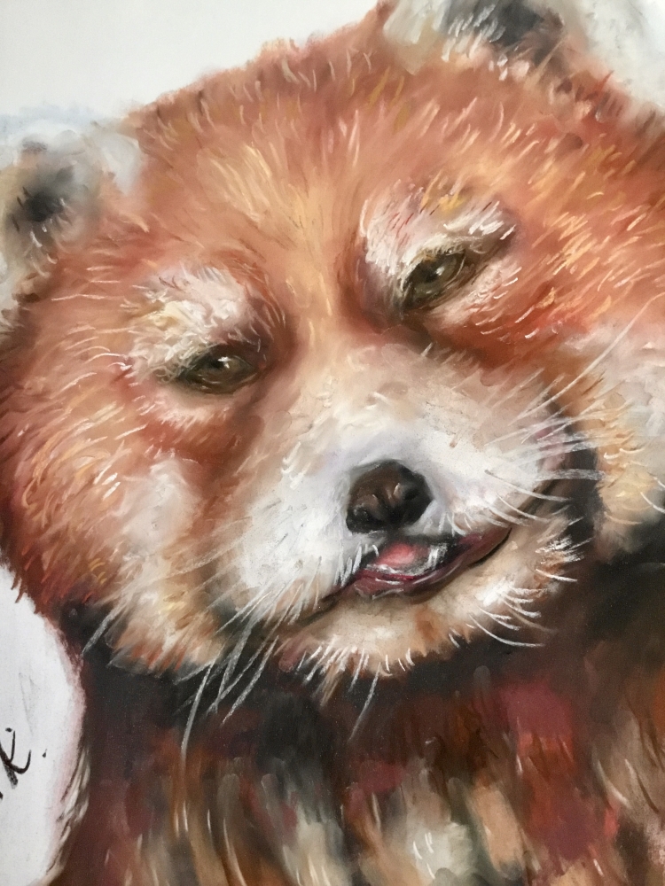 Red panda painting