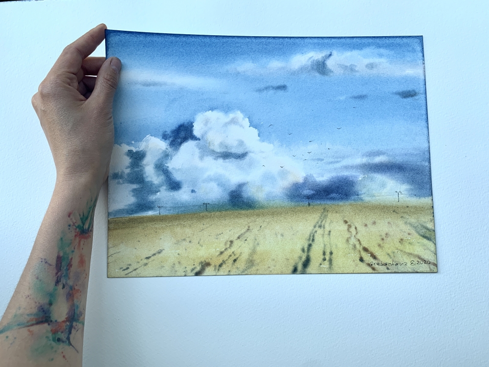 Field and clouds 