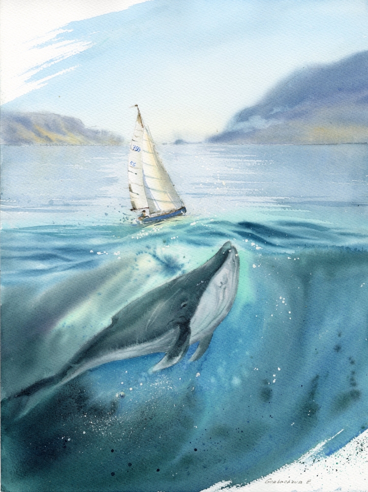 Whale and sailboat