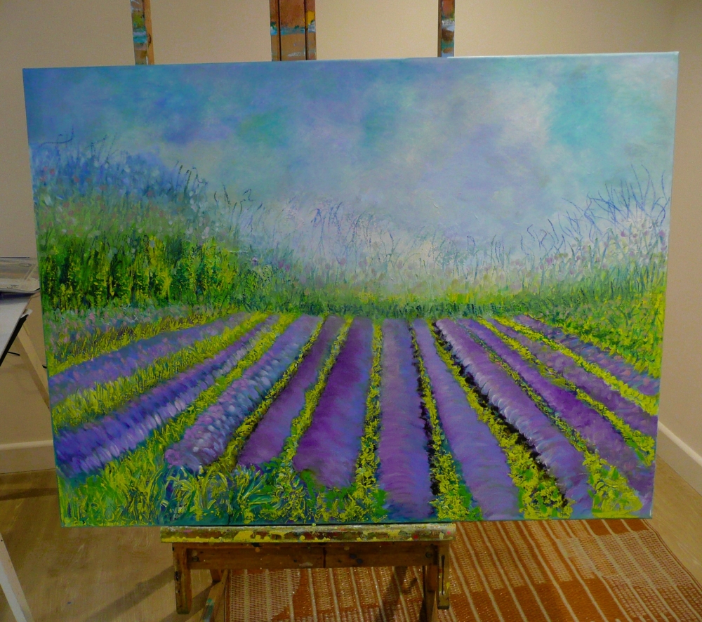 Lavender Fields 2024 