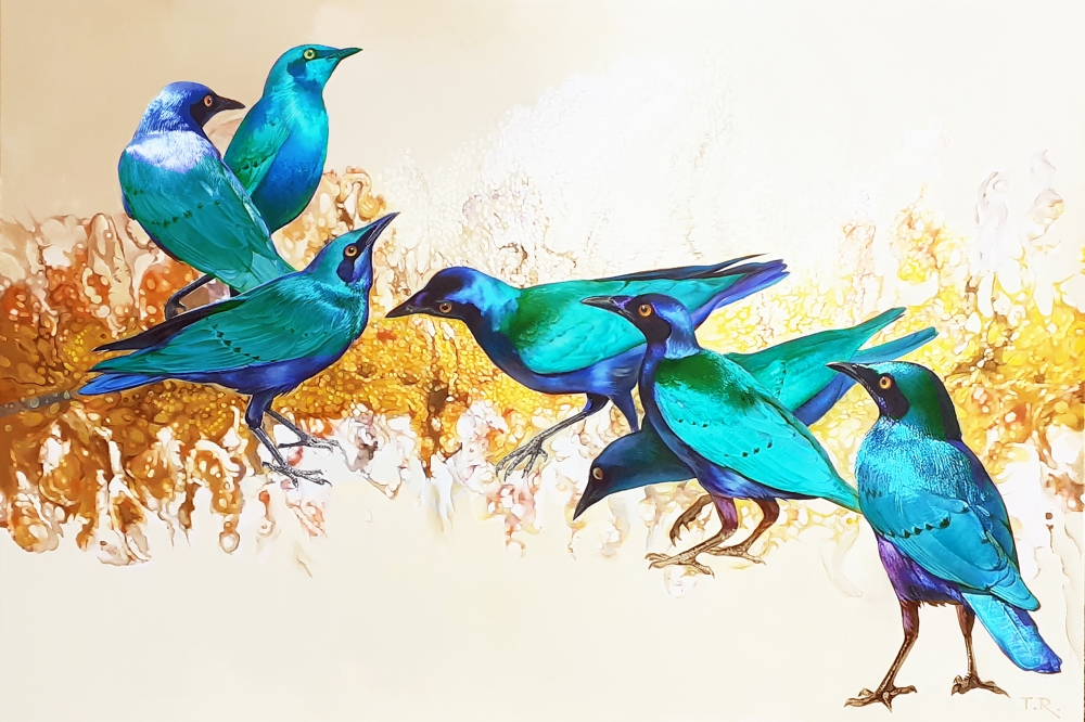 GREATER BLUE-EARED STARLINGS