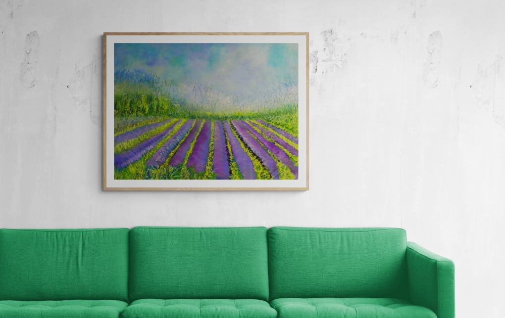 Lavender Fields 2024 