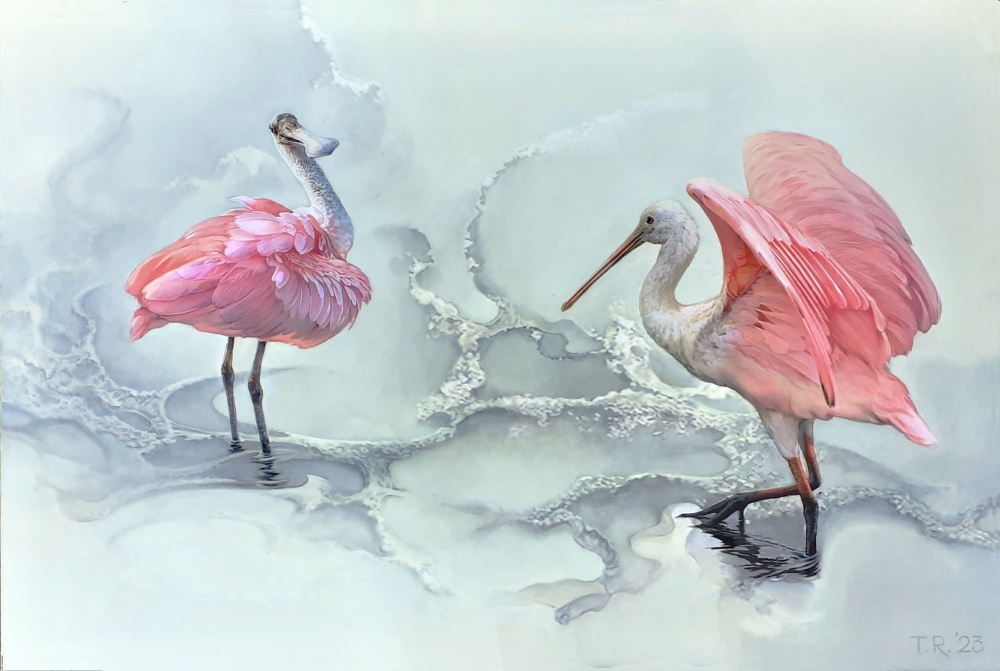 2 ROSEATE SPOONBILLS / \"LA COQUETTE\"