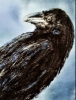 Eyes of Odin; Huginn and Munnin