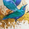 GREATER BLUE-EARED STARLINGS