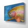 Rainbow Trout Painting