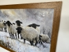 Black Faced Suffolk sheep in Winter framed