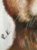 Red panda painting