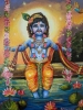 Shree Krishna on a swing