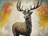 Majestic Deer - below minimum price