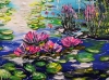 Water lilies 