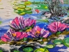 Water lilies 